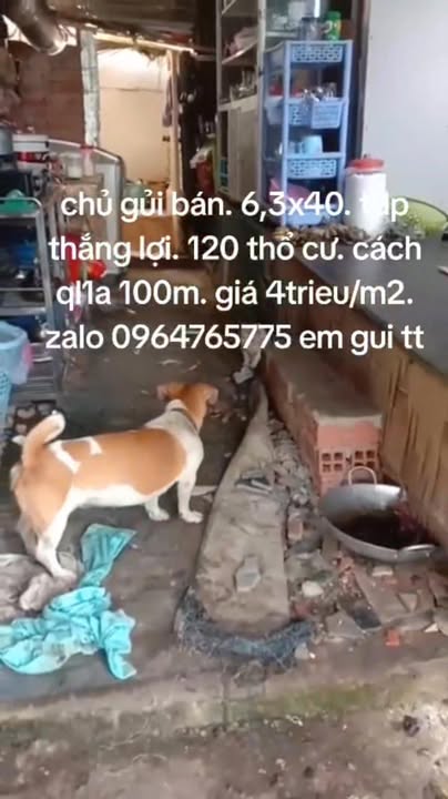 Đất nền Thăng Lợi, Kỳ Anh 252m² - Đường to ô tô, tiềm năng tăng giá!