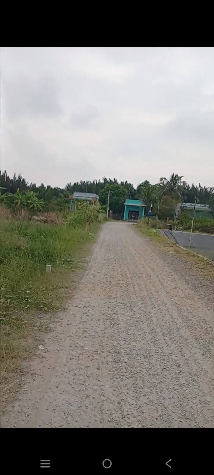 Đất nền Tân Chánh, Cần Đước 100m² 1 tỷ - Sổ đỏ chính chủ