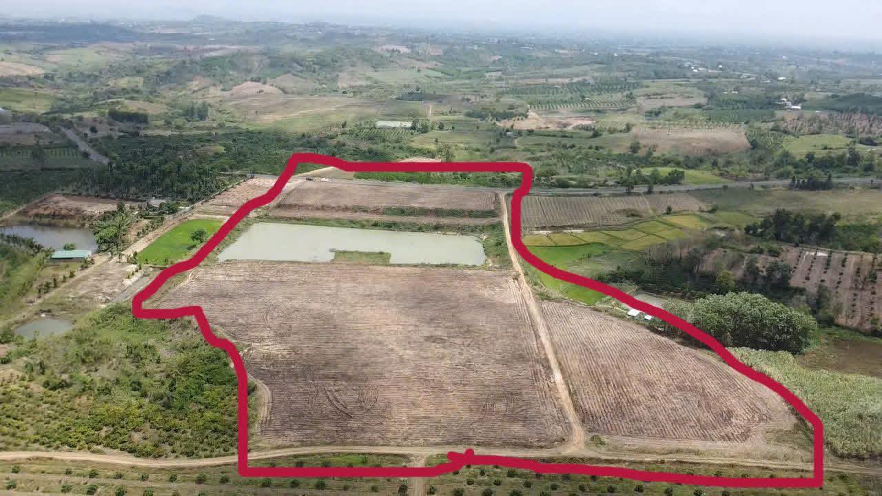 Đất 4ha Krông Năng Đắk Lắk 15 tỷ - Sổ đỏ chính chủ, 131m mặt tiền QL29