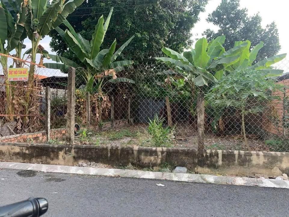 Đất nền TP. Tây Ninh 336m² Sổ đỏ chính chủ - Giá ngộp cực tốt!