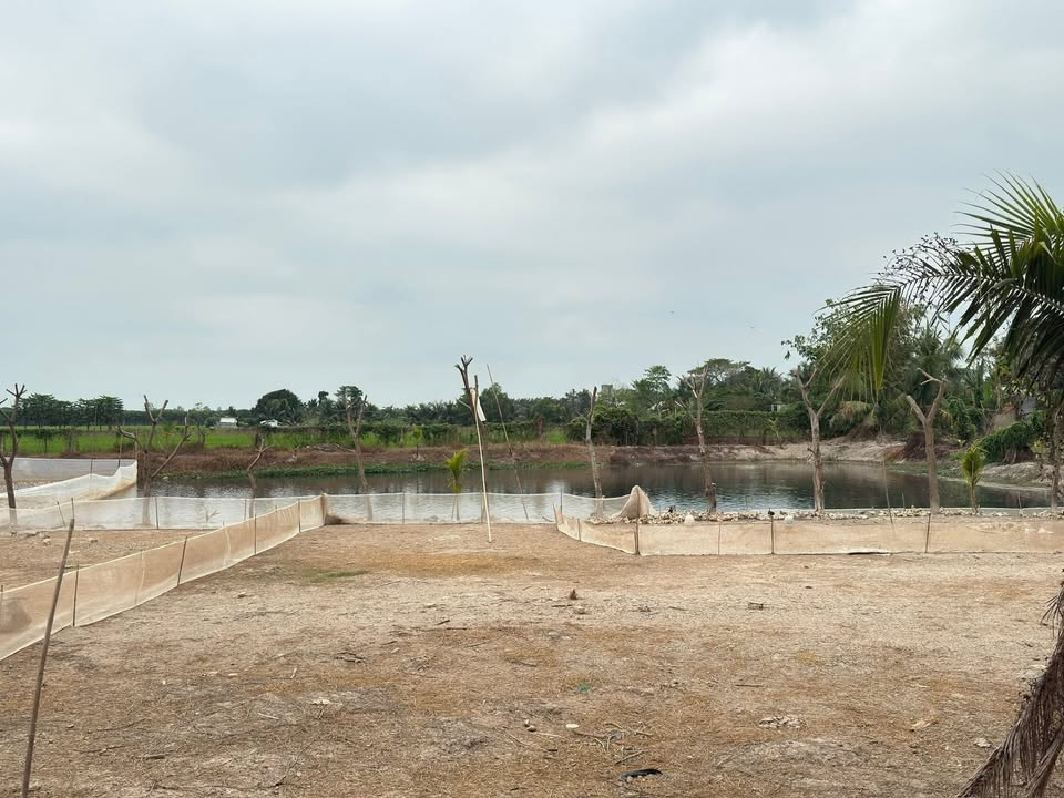 Đất Nền An Giang 120m² - Giá Tốt 280 Triệu, Sẵn Nền Xây Nhà