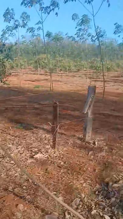 Đất nền Ia Dom Đức Cơ 266m² giá 255 triệu - Giá đầu tư tốt!