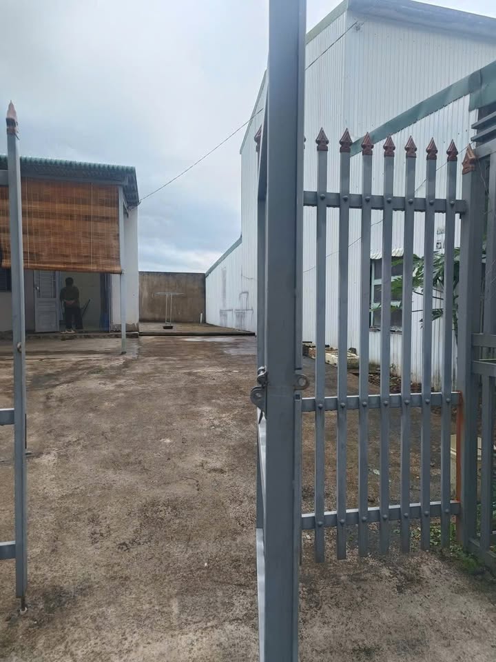 Bán Đất Lộc Châu Bảo Lộc 185m² - Giảm 200 Triệu Trước Tết!