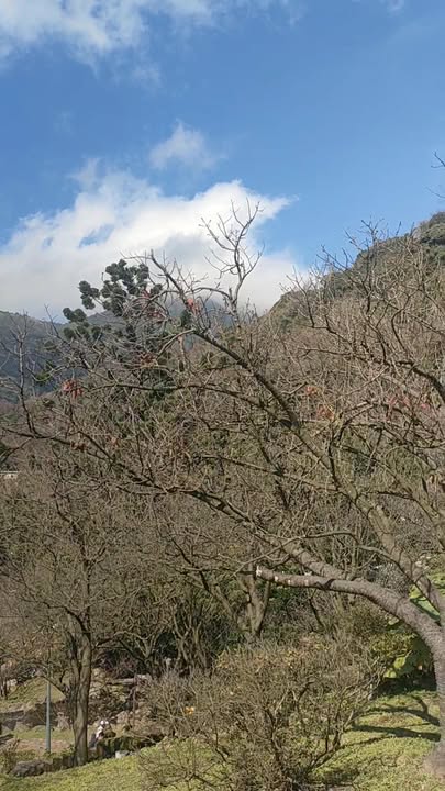 Đất nền Pleiku 3240m² giá 730 triệu - Tiềm năng tăng giá!