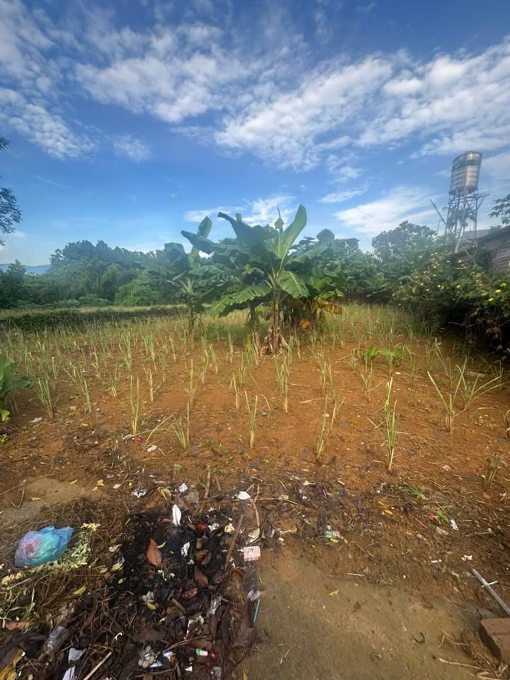 Đất nền Phú Cát Quốc Oai 400m² - Đường to ô tô, tiềm năng sinh lời!