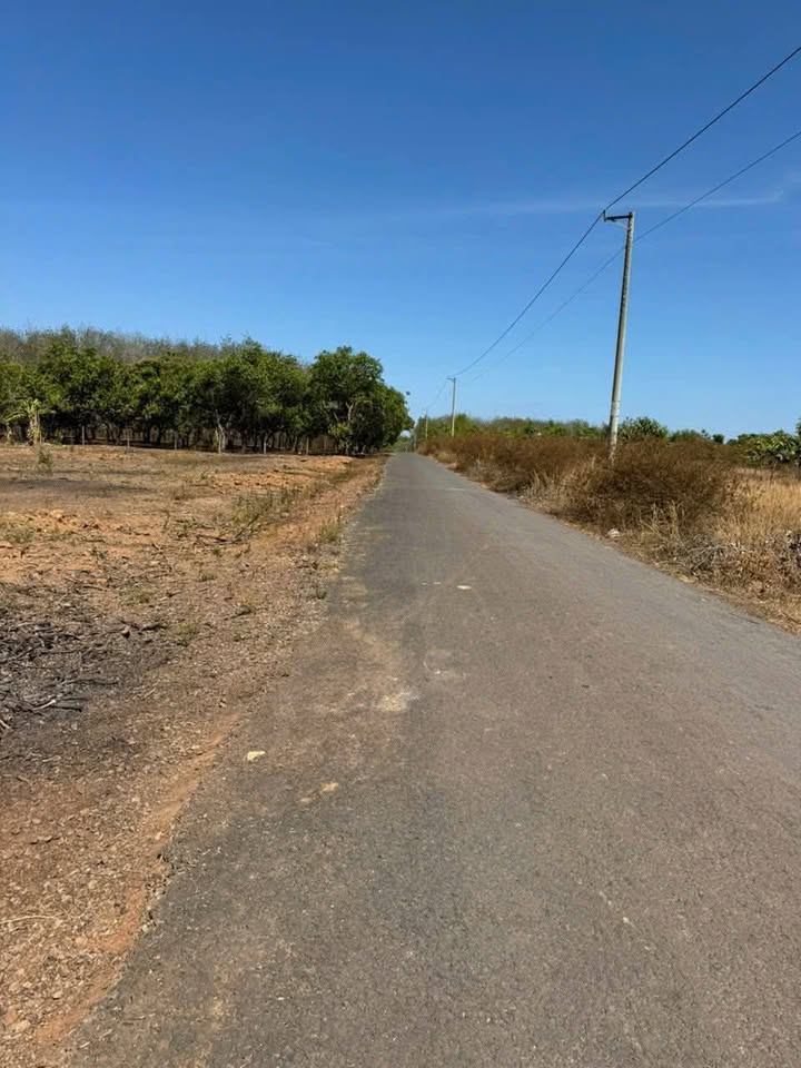 Bán Đất Hưng Phước Bù Đốp 20.000m² - Sổ Đỏ Chính Chủ Giá Tốt