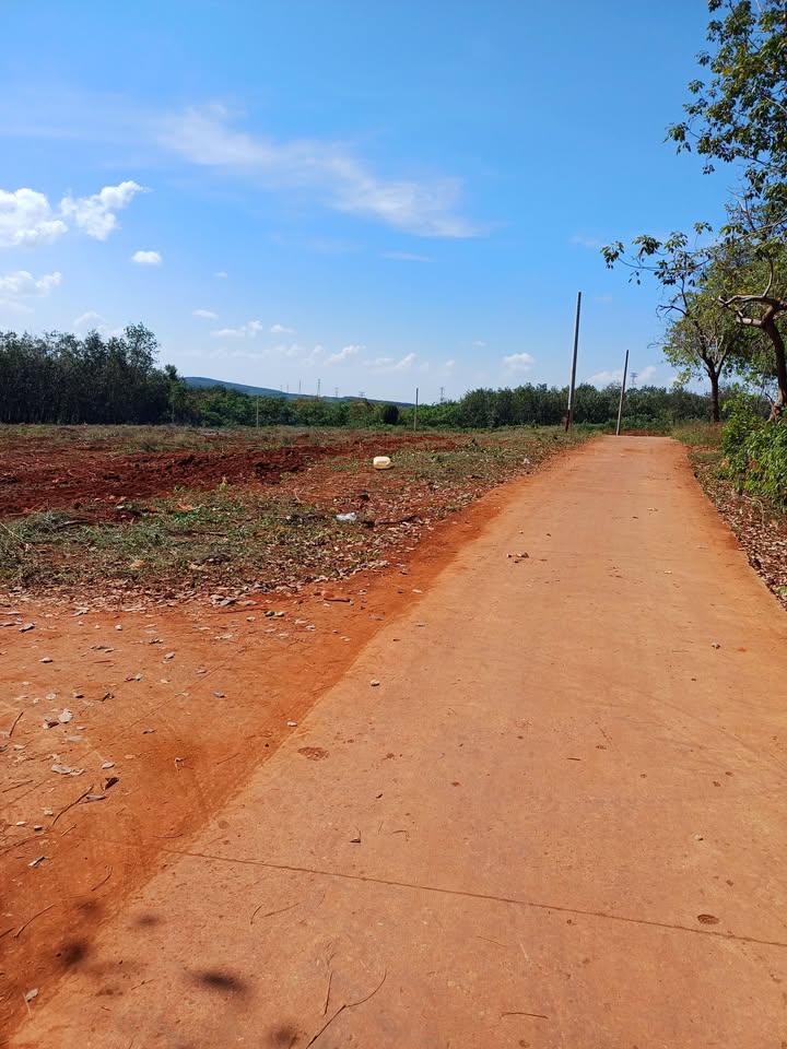 Đất Nền 1.1ha Hai Mặt Tiền - Đức Liễu, Bình Phước - Giá Đầu Tư 4.2 Tỷ