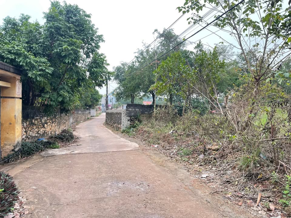 Đất Chu Điện Lục Nam 206m² giá 700 triệu - Sổ đỏ chính chủ