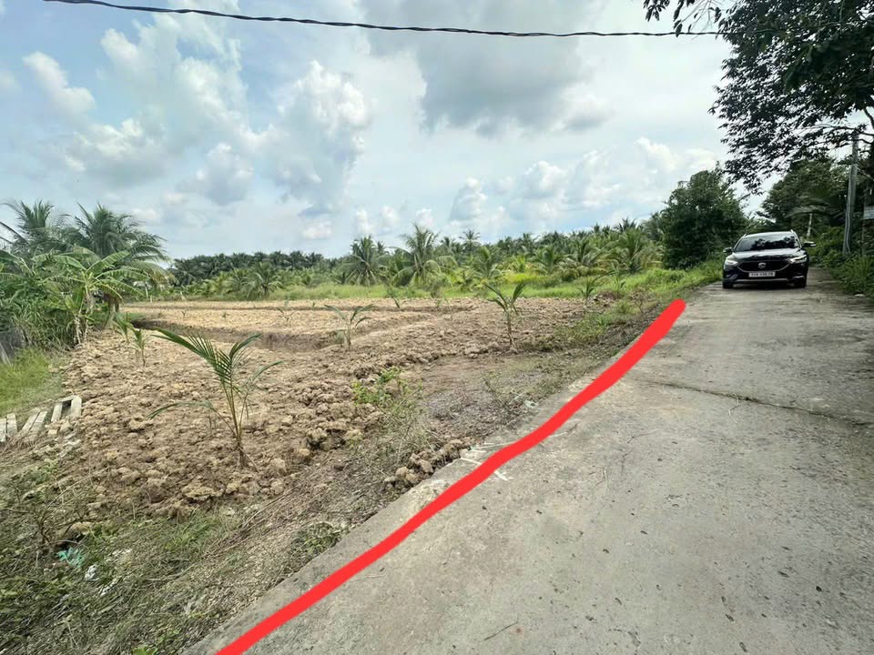 Đất Vườn Phú Hưng 1931m² - Sổ Hồng Riêng, Giá 1.93 Tỷ Tại Bến Tre