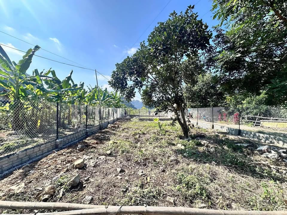 Đất nền Huyện Phù Yên 250m² - Tiềm năng tăng giá vượt trội!