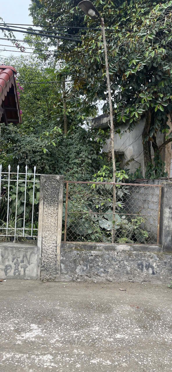 Đất nền 81m² Đường Ỷ Lan, Thanh Hóa - Sổ đỏ chính chủ