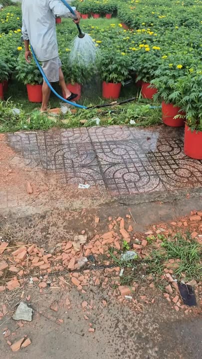 Bán đất nền Long Hòa 85m² - Sổ đỏ, gần KCN Cầu Tràm