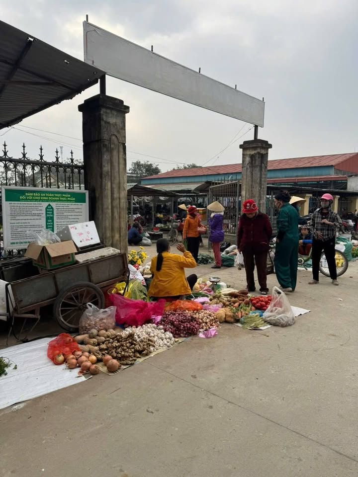 Đất nền Thành phố Thanh Hóa 100m² - Sổ hồng sẵn, kinh doanh tốt!