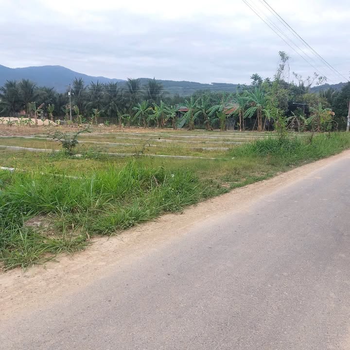 Bán Đất Diên Thọ, Khánh Hòa 106m² Sổ Đỏ Chính Chủ - Giá 890 Triệu