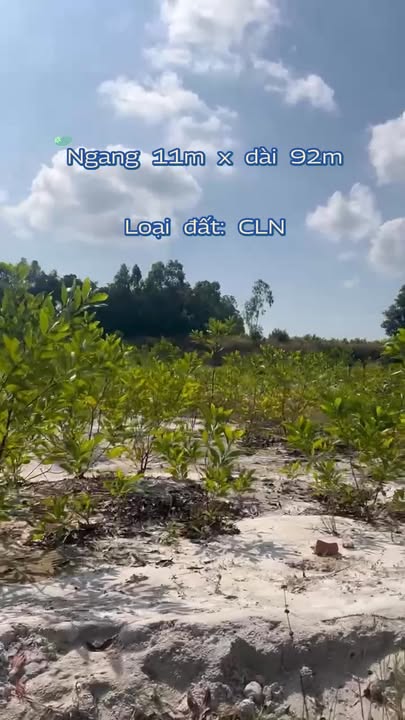 Bán Đất Vườn La Gi 1000m² - Giá 4xx Triệu, Sẵn Sàng Làm Farm Nghỉ Dưỡng