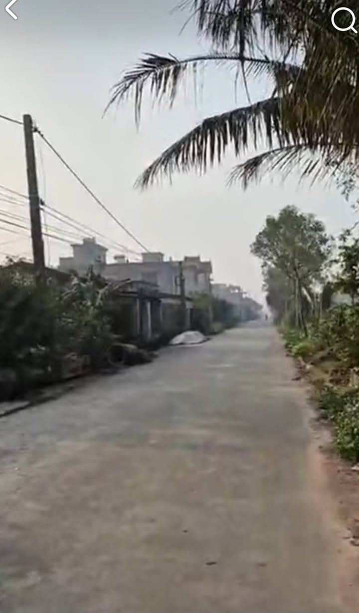 Đất nền Trực Cường, Trực Ninh 115m² - Tiềm năng tăng giá vượt trội!