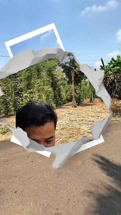 Đất nền Cẩm Mỹ 3812m² giá 24 tỷ - Sổ đỏ chính chủ tiềm năng tăng giá