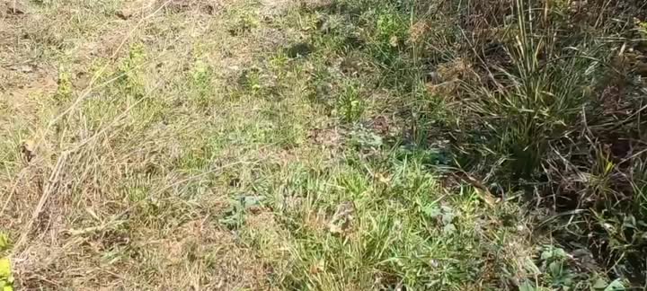 Bán đất Xã Bàu Trâm, Long Khánh - 1024m² Sổ hồng - Giá 980 triệu