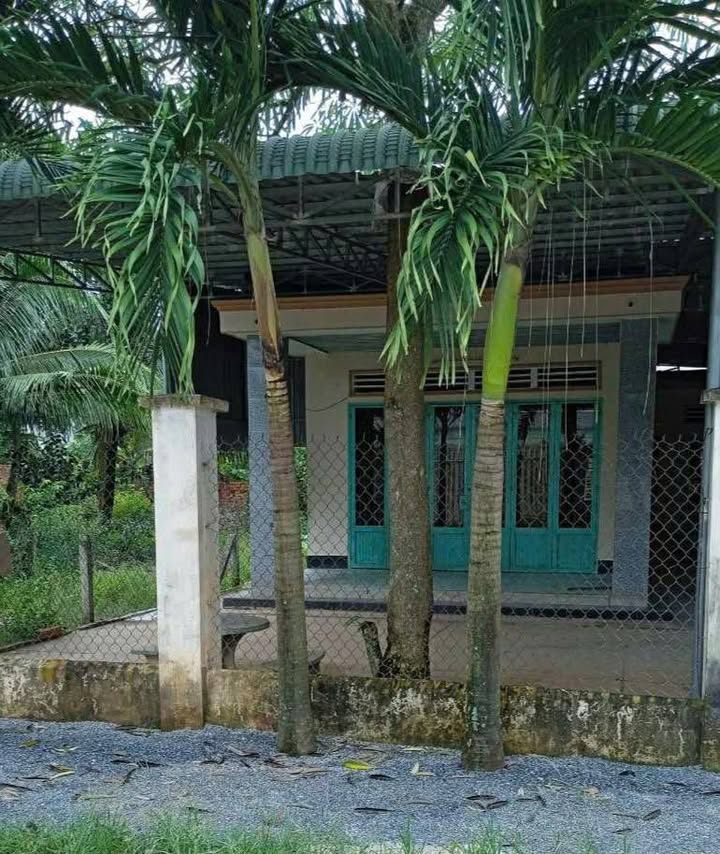 Nhà riêng Tam Hạp, Châu Thành 250m² - Sẵn sàng ở ngay!