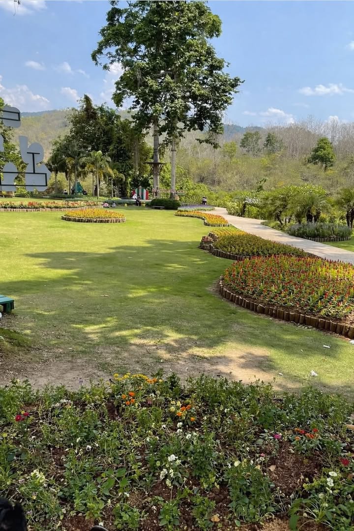 Đất nền Hòa Phong 500m² sổ hồng - Xây nhà vườn lý tưởng