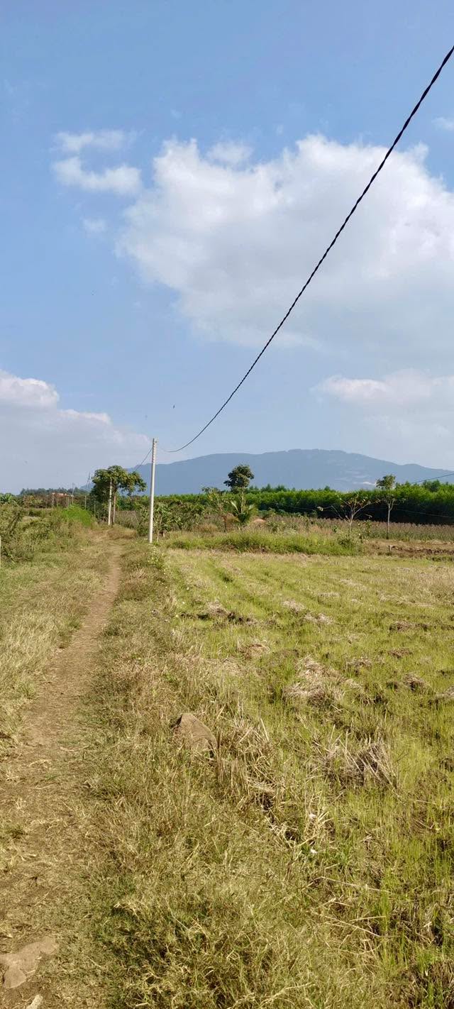 Bán Gấp Đất Vườn 1080m² Xuân Lộc, Đồng Nai - Giá 600 Triệu