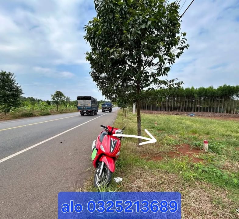 Đất nền Bình Chánh 200m² mặt tiền đường nhựa lớn - Sổ đỏ sẵn sàng