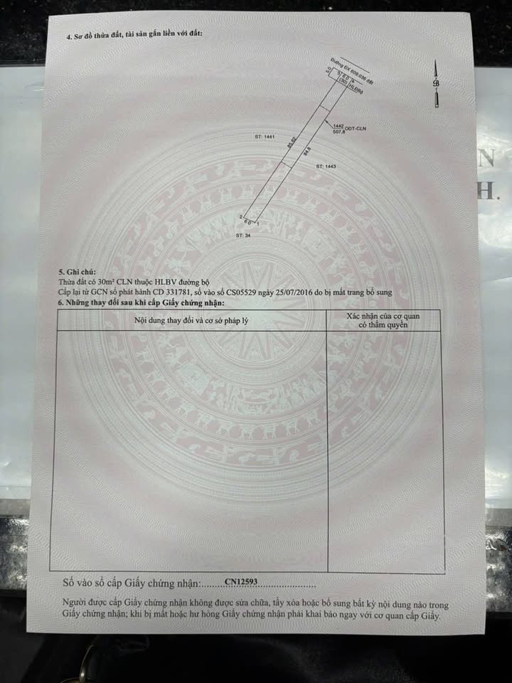 Đất Vàng Bến Cát 510m² - Sổ Đỏ Chính Chủ, Đầu Tư Sinh Lời