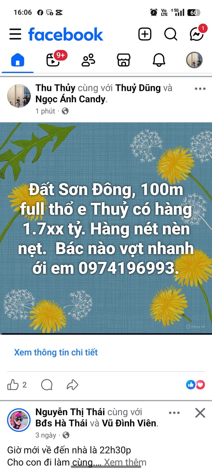 Đất nền Sơn Đông Sơn Tây 100m² giá 1.7 tỷ - Sổ đỏ chính chủ