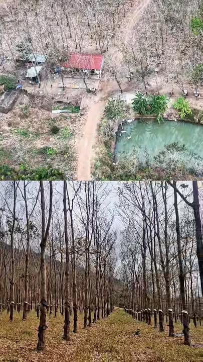 Đất vườn Xã Iapia, Chư Pưh 10.6ha – Sổ hồng rõ ràng!