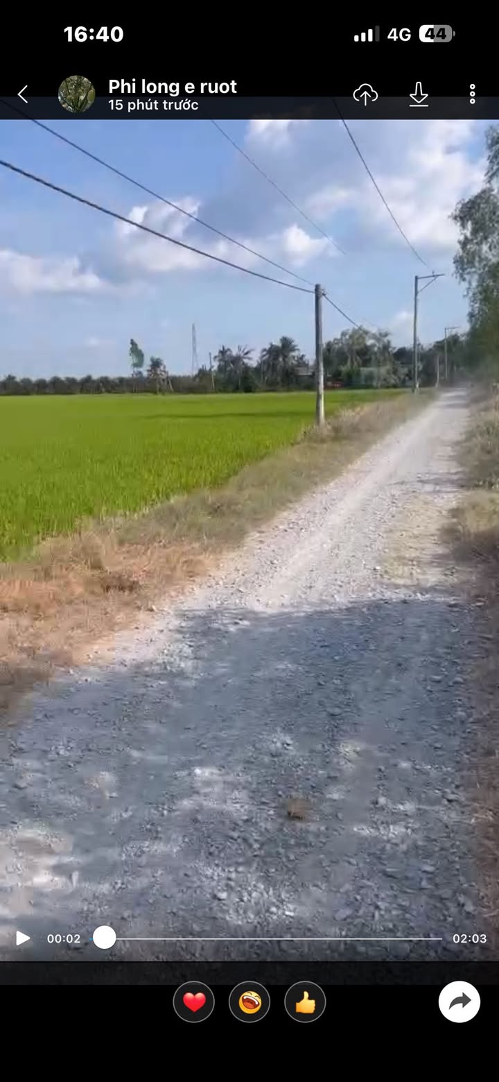 Bán Gấp 5000m² Đất Vườn Sầu Riêng Cái Bè, Tiền Giang - Sổ Đỏ Chính Chủ