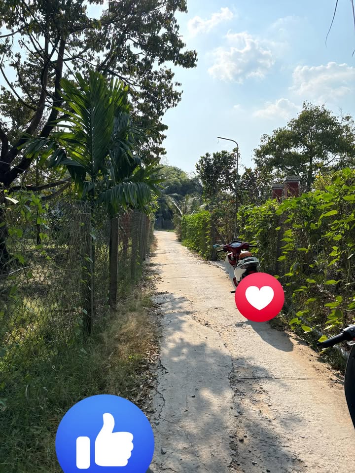 Đất Vườn Sầu Riêng 2030m² - Mặt Tiền Rộng 28m - Xã Thanh Hòa, Tiền Giang