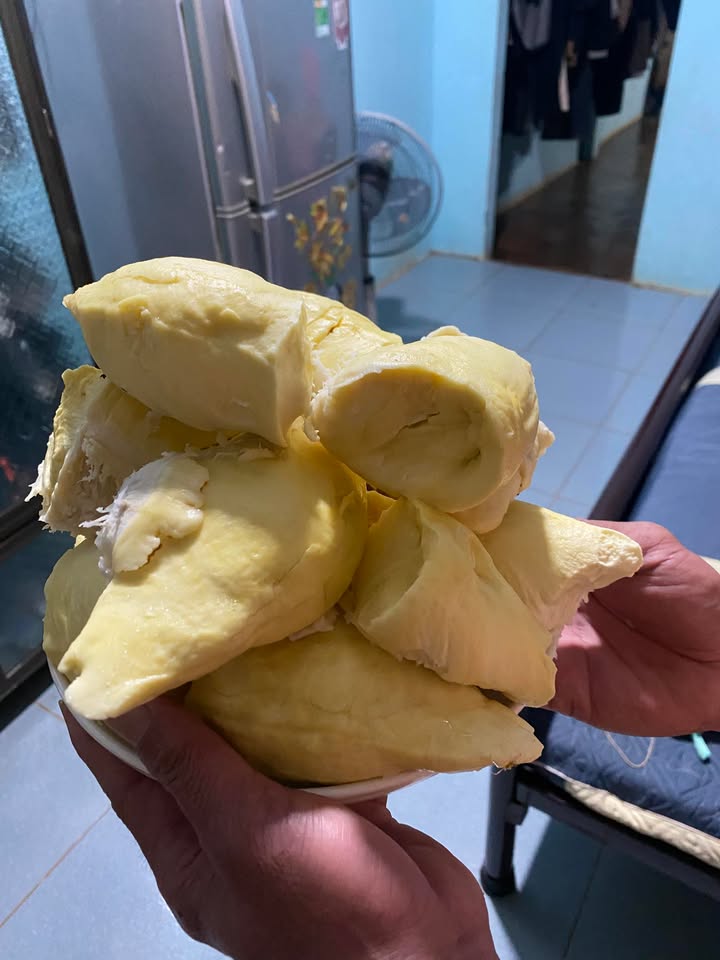 Đất Thổ Cư Cư M'gar 545m² - Sổ Đỏ Sẵn Sàng, Đầu Tư Sinh Lời!