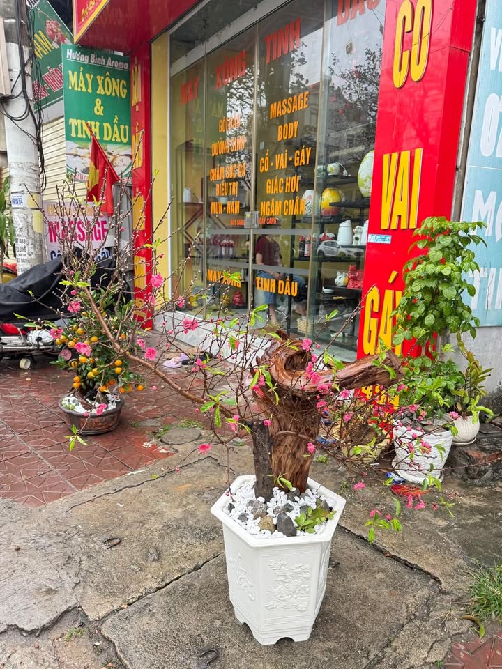 Nhà Mặt Tiền Quốc Lộ 2 Vĩnh Yên 59m² - Kinh Doanh Đắc Lộc