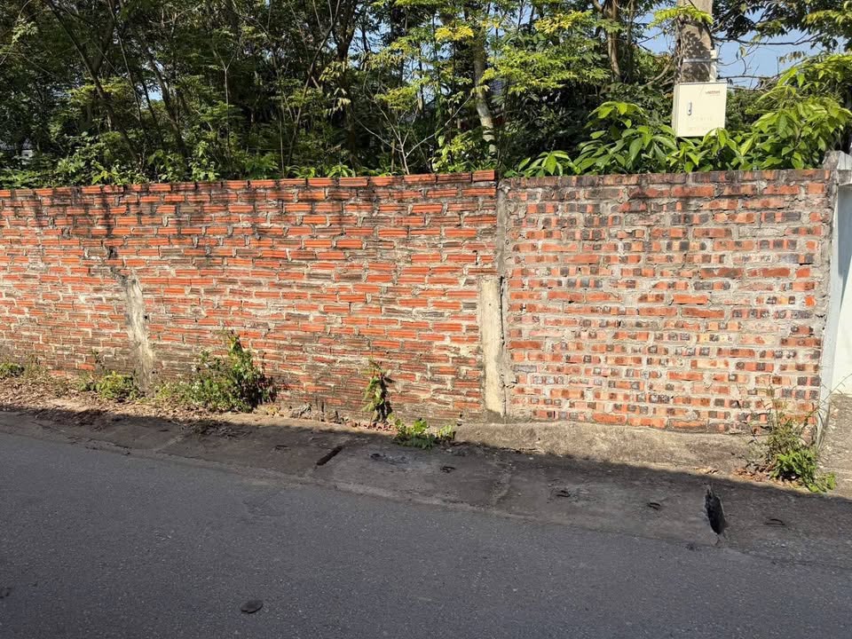 Đất nền Tam Đảo 106m² giá 1.2 tỷ - Sổ đỏ chính chủ sẵn sàng!