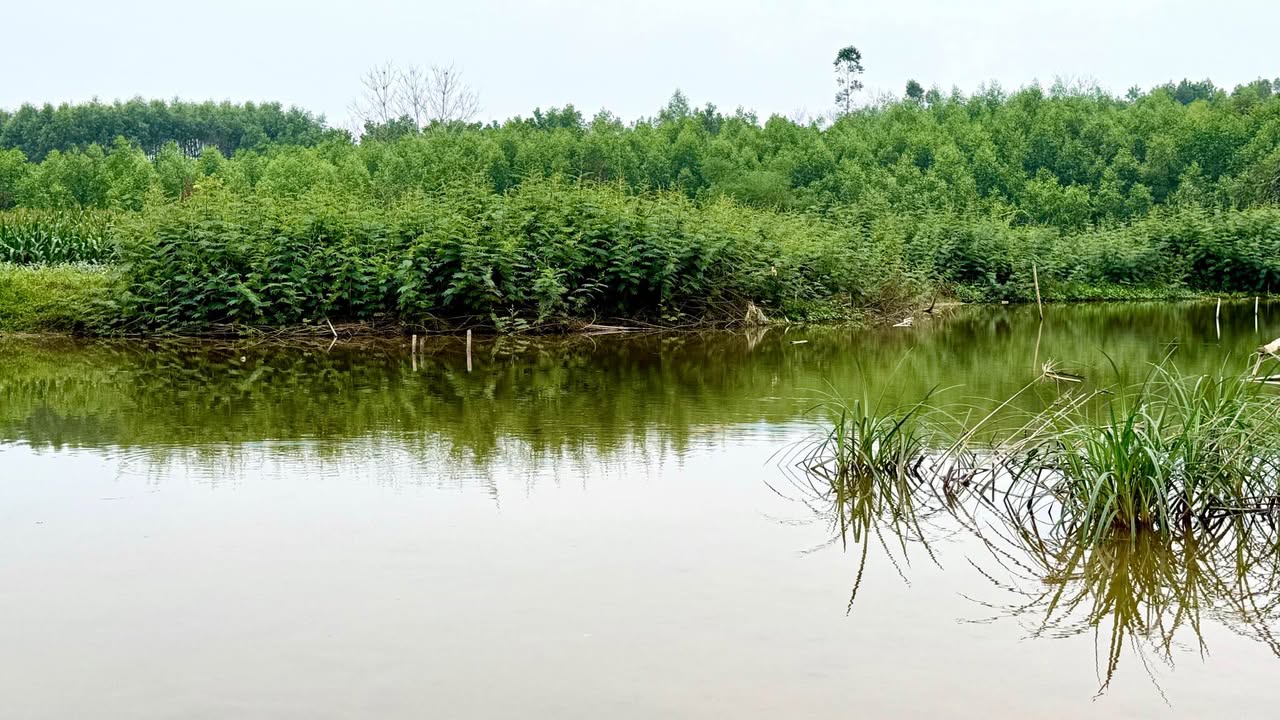 Đất nền 900m² Bắc Giang - Mặt tiền 19m, bám sông, sổ đỏ sẵn