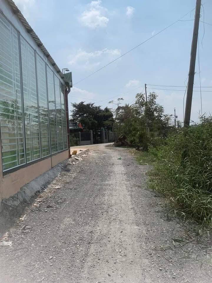 Đất thổ cư Cần Đước Long An 217m² 1.3 tỷ - Sổ đỏ chính chủ!