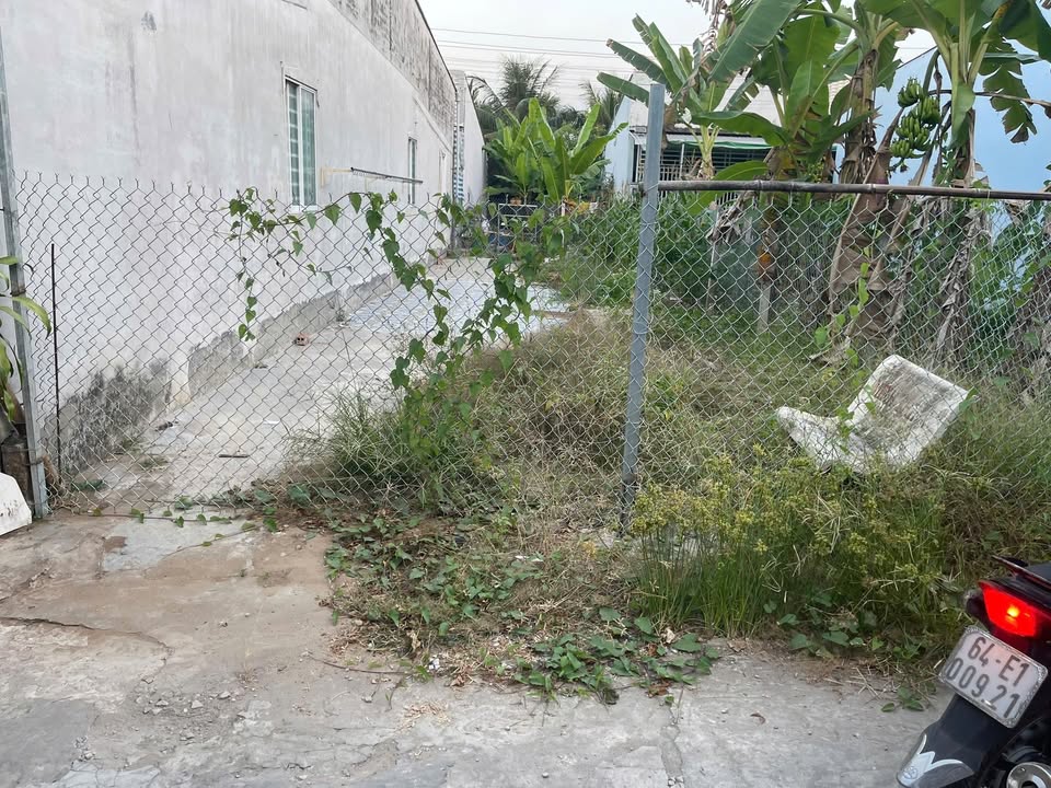 Bán đất Trà Ôn, Vĩnh Long 90m² full thổ cư - Sẵn sàng xây nhà