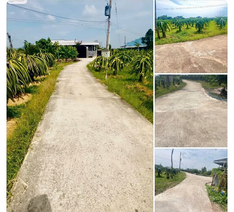 Đất Vườn Hàm Thuận Bắc 1700m² - Sổ Hồng Sẵn Sàng Đầu Tư