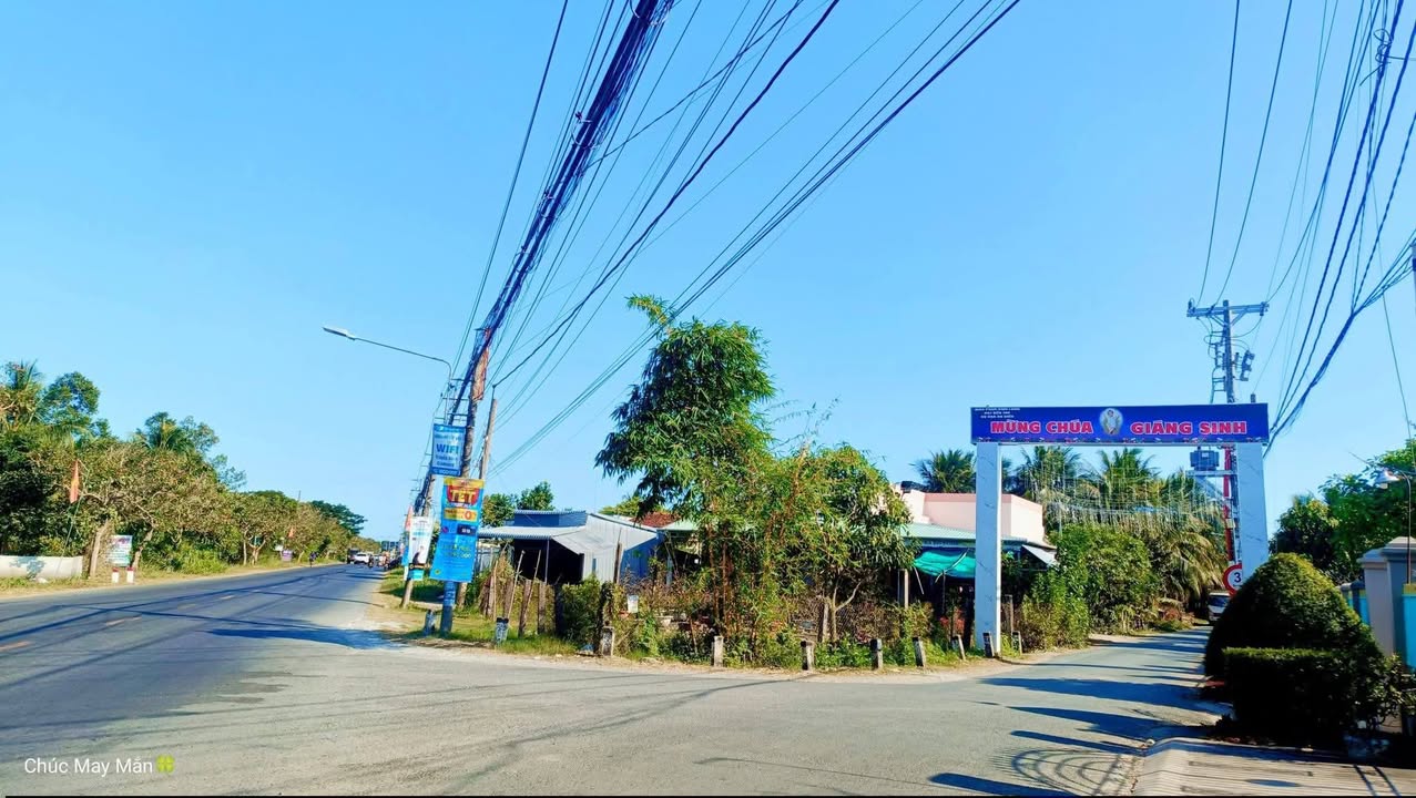 Bán Đất Vườn Bến Tre 2244m² - Hướng Nam, Sổ Đỏ, Giá Tốt