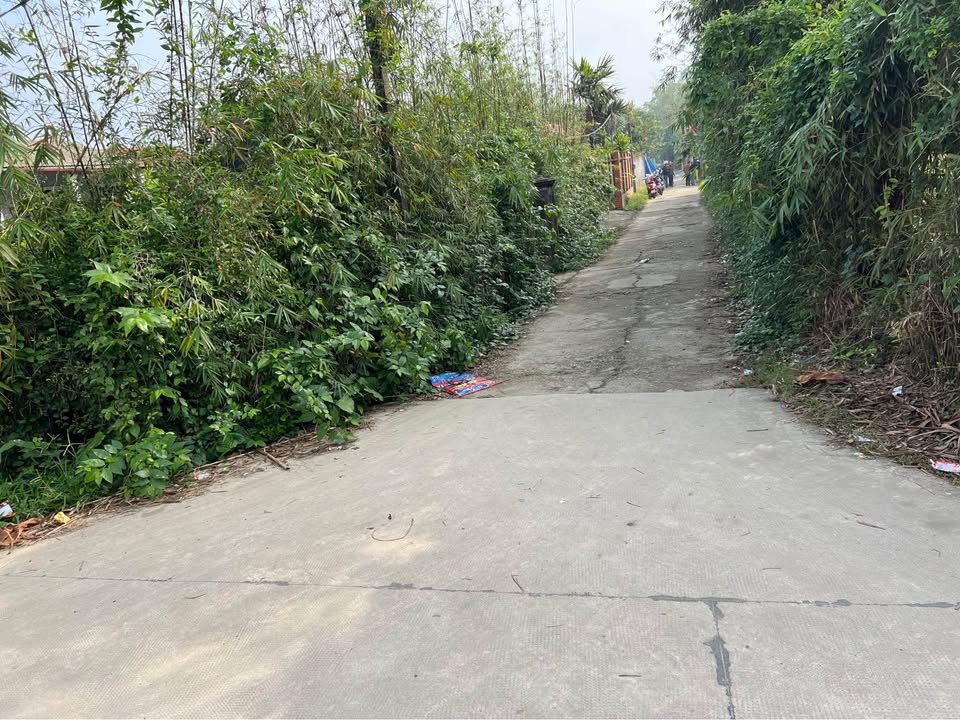 Đất Phường Dương Nỗ, Huế 98m² - Giá Đầu Tư Chỉ 8xx Triệu