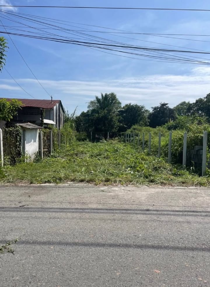 Đất thổ cư Củ Chi 214m² - Sổ hồng chính chủ, đường ô tô 8m