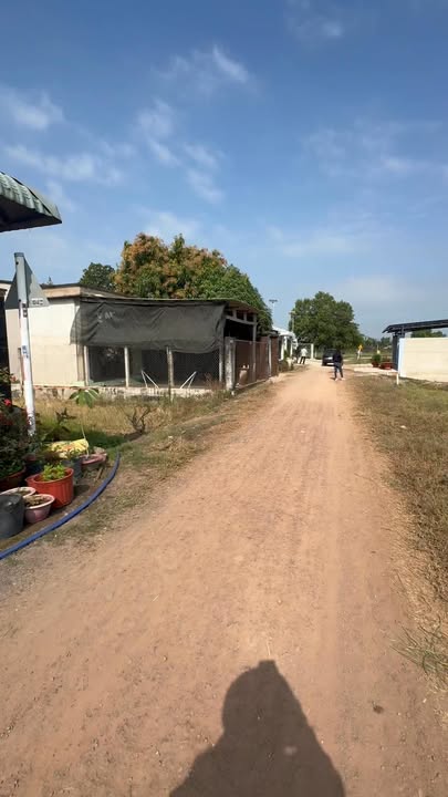 Đất nền Bến Cầu 150m² - Sổ đỏ chính chủ, giá chỉ 420 triệu!