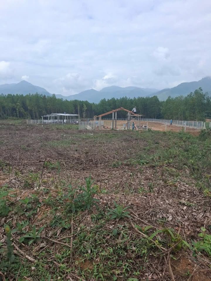 Đất Vườn Hành Nhân Nghĩa Hành 1000m² Chỉ 100 Triệu - Nghỉ Dưỡng Lý Tưởng!