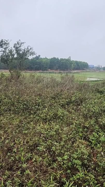 Đất Sóc Sơn 3900m² Giá 9.3 Tỷ - Nghỉ Dưỡng Lý Tưởng Tại Đa Hội