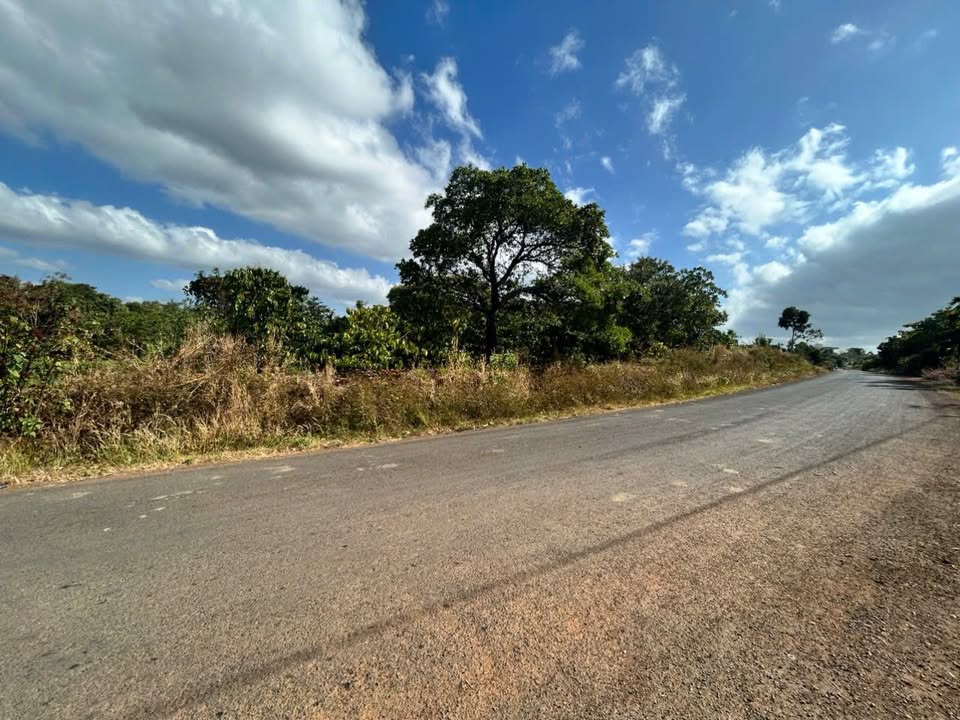 Đất nền Quảng Hiệp, Cư Jút 1800m² - Tiềm năng tăng giá vượt trội!