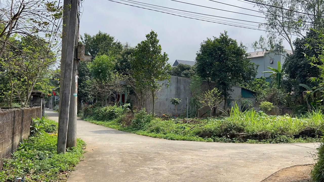 Đất nền trung tâm Mãn Đức, Tân Lạc 1494m² - Sổ đỏ sẵn sàng, gần Chợ Bóp