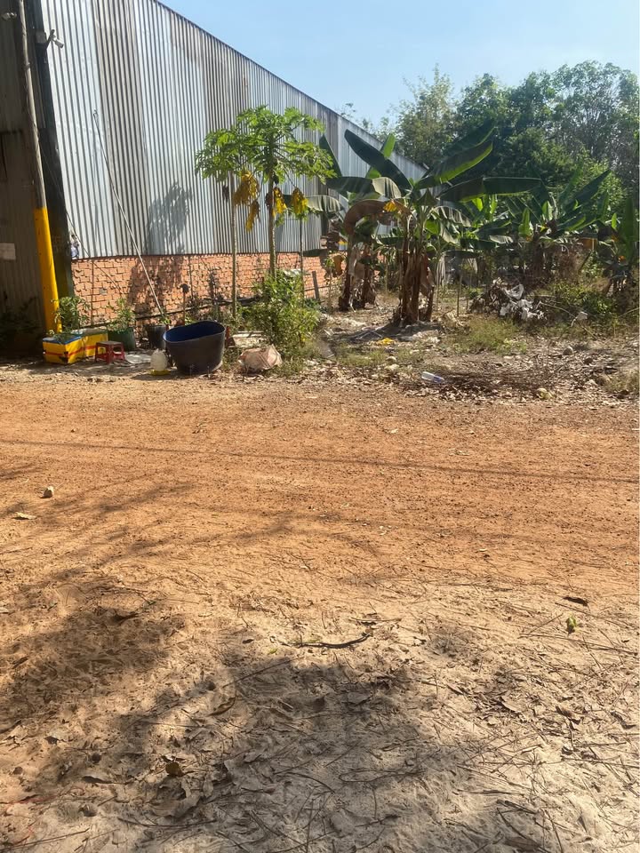 Đất nền Tân Uyên 1000m² chỉ 4.5 tỷ - Sổ đỏ chính chủ, bán gấp!