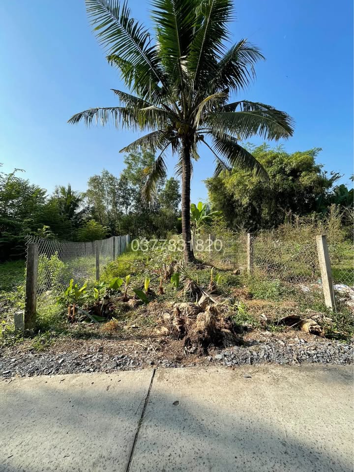 Đất nền Trà Vinh 110m² giá 280 triệu - Sổ đỏ chính chủ!