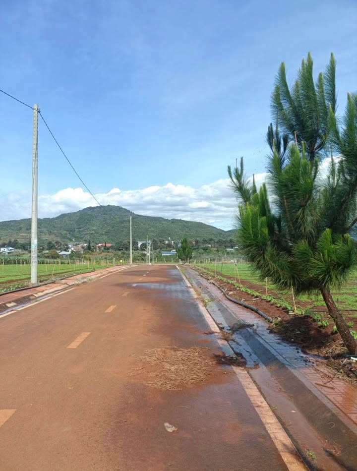 Đất nền Xã Liên Hiệp Đức Trọng 125m² - Đất thổ cư 100%!