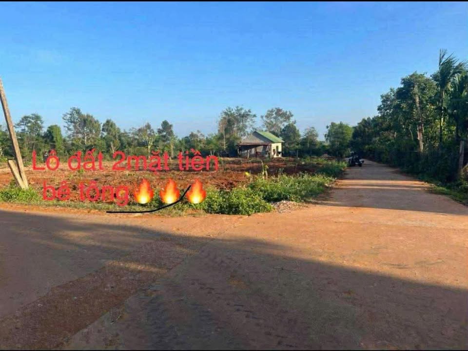 Đất nền Xã Ea Hồ Krông Năng 1500m² - Phân lô sinh lời ngay!